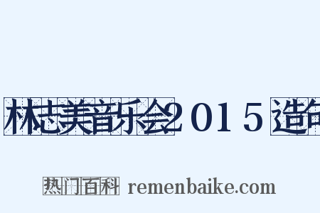 林志美音乐会2015造句是什么意思的图片